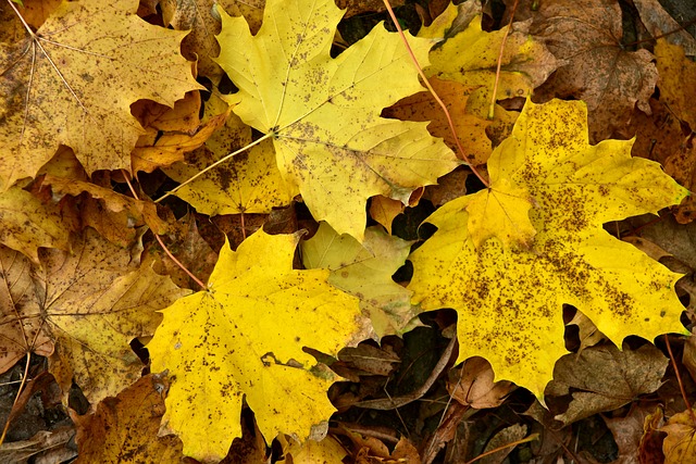 Kisi par ehsaan jatana kaisa?